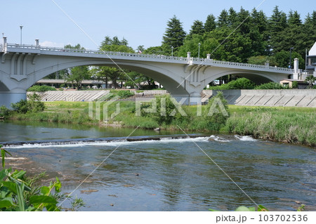 広瀬川に架かる大橋の景色 広瀬川に架かる大橋の景色 103702536