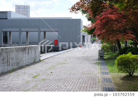 東北歴史博物館北側通りの景色 東北歴史博物館北側通りの景色 103702559