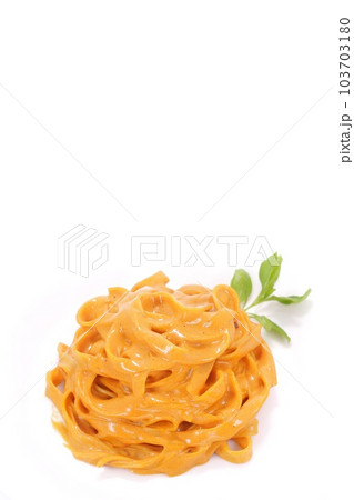 エビ風味のトマトクリームソース　幅広麺のパスタ　タリアテッレ　明るい背景 103703180