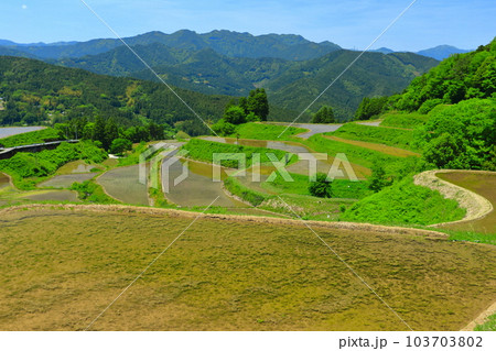 【高知県】土佐・本山天空の棚田群(高須の棚田) 【高知県】土佐・本山天空の棚田群(高須の棚田) 103703802