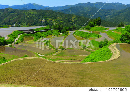 【高知県】土佐・本山天空の棚田群(高須の棚田) 【高知県】土佐・本山天空の棚田群(高須の棚田) 103703806