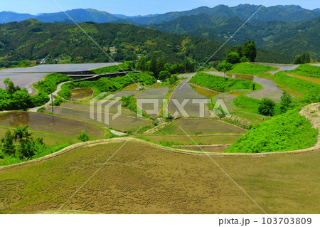 【高知県】土佐・本山天空の棚田群(高須の棚田) 【高知県】土佐・本山天空の棚田群(高須の棚田) 103703809