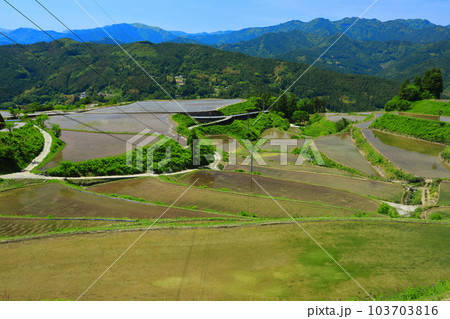 【高知県】土佐・本山天空の棚田群(高須の棚田) 【高知県】土佐・本山天空の棚田群(高須の棚田) 103703816