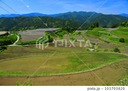 【高知県】土佐・本山天空の棚田群（高須の棚田） 103703820