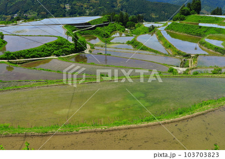【高知県】土佐・本山天空の棚田群（高須の棚田） 103703823