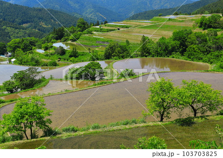 【高知県】土佐・本山天空の棚田群(高須の棚田) 【高知県】土佐・本山天空の棚田群(高須の棚田) 103703825