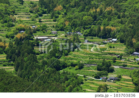 【高知県】土佐・本山天空の棚田群(やまなみ雲海展望台) 【高知県】土佐・本山天空の棚田群(やまなみ雲海展望台) 103703836