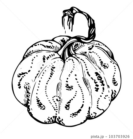 Squash Outline