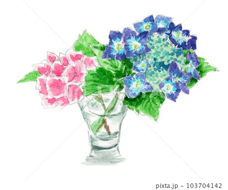 コップに挿した紫陽花2輪の水彩スケッチ 103704142