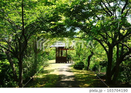 新緑のトンネルの向こうは憩いの東屋 103704190