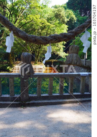 厳島神社からみた弁天池 103704197