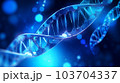 DNAイメージ 103704337