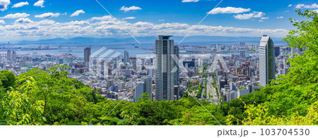六甲山から眺める新緑と神戸の街（中央区・灘区の街並み・ポートアイランド・空港島が見えます）　 103704530