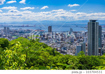 六甲山から眺める新緑と神戸の街（中央区・灘区の街並み・左前方に六甲アイランドが見えます）　 103704531