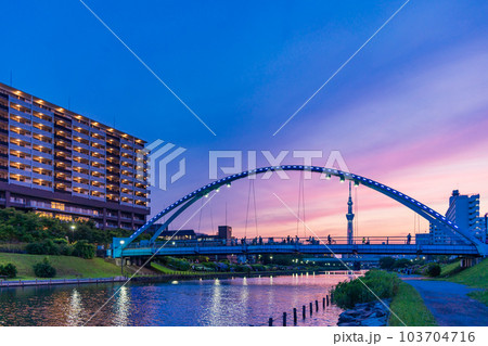 【東京都】旧中川水辺公園のふれあい橋の向こうに東京スカイツリー・夕景 【東京都】旧中川水辺公園のふれあい橋の向こうに東京スカイツリー・夕景 103704716