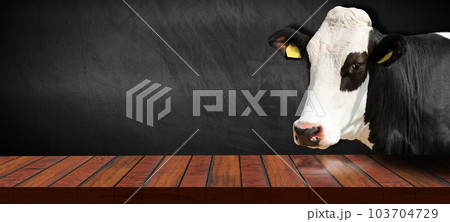 Empty Wooden Table and a Dairy Cow - Blank Blackboard on Background 103704729