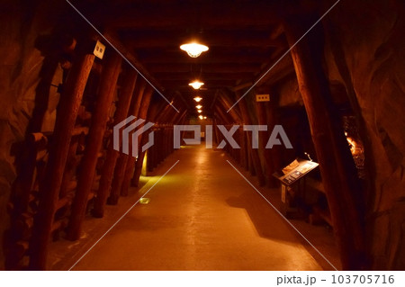 いわき市石炭・化石館ほるる 模擬坑道 いわき市石炭・化石館ほるる 模擬坑道 103705716