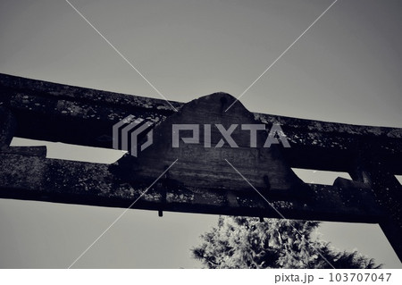 竹駒神社 古い鳥居 アップ 竹駒神社 古い鳥居 アップ 103707047