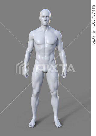 A 3D illustration of a male body with mesomorph body type 103707485