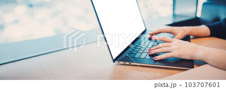 Woman sitting in cafe at the table and working on the laptop. Woman sitting in cafe at the table and working on the laptop. 103707601