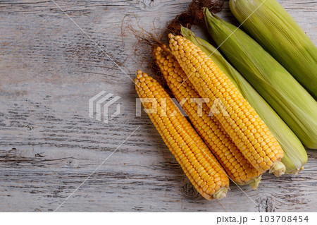 Corn cob 103708454