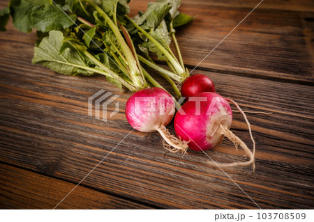 Close up of fresh radishes 103708509