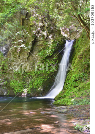 【三重県名張市】赤目四十八滝・琵琶滝（日本の滝百選） 103709268
