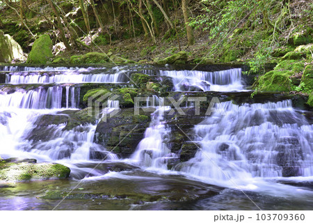 【三重県名張市】赤目四十八滝・雛段滝 103709360