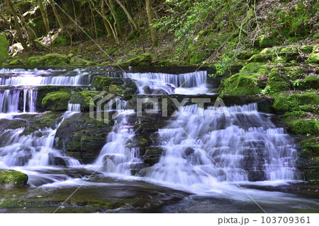【三重県名張市】赤目四十八滝・雛段滝 103709361