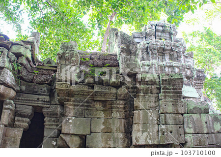 【シェムリアップ】タ・プロム遺跡 103710100