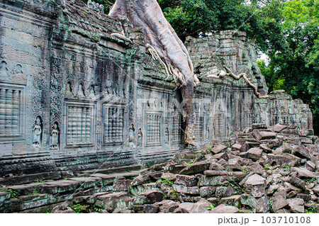 【シェムリアップ】タ・プロム遺跡 103710108