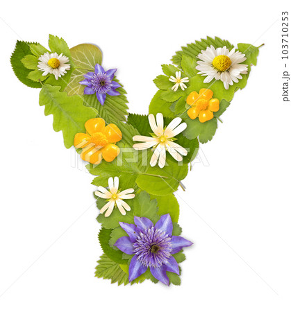 Green leaf whit flower 103710253