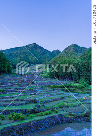 【愛知県】新城・四谷の千枚田（よつやのせんまいだ）・夕景 103710428