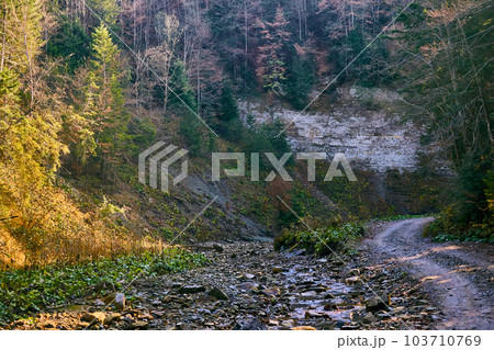Autumn forest dirt road with stones and boulders in a dry mountain river 103710769