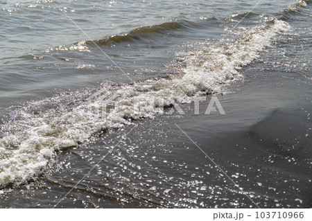都会の海 波打ち際 都会の海 波打ち際 103710966