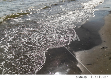 都会の海　波打ち際 103710967