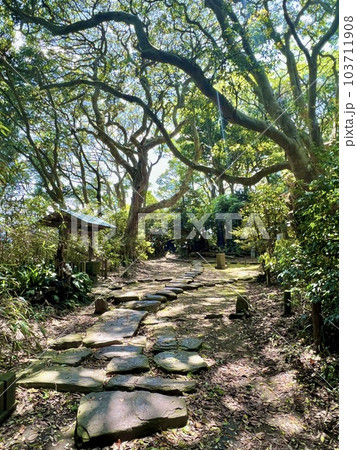 雄島の中心にある重要文化財の大湊神社 雄島の中心にある重要文化財の大湊神社 103711908