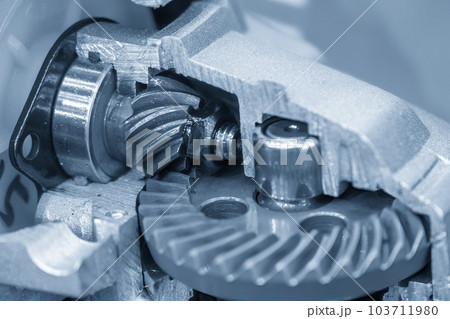 Cutaway the transmission gear box. 103711980