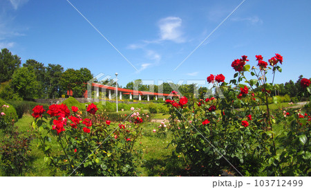 服部緑地公園 服部緑地公園 103712499