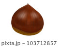 栗 クリ くり 103712857