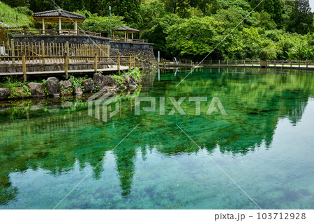 丸池湧水（日本名水百選） 103712928