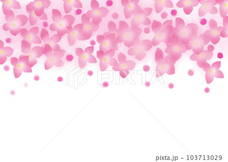 ボロニアの花のカード2 103713029