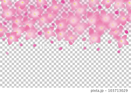 ボロニアの花のカード2 103713029