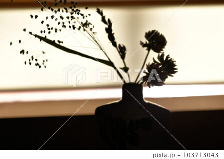 生け花イメージ 103713043