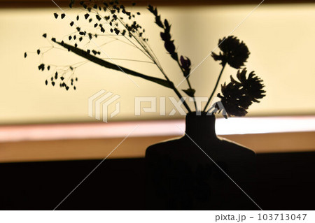 生け花イメージ 生け花イメージ 103713047