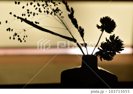 生け花イメージ 103713055