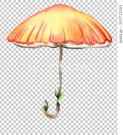 Flower umbrella for fairy. Hand painted fairy tale illustration for greeting cards, prints, post cards and souvenirs. Illustartion isilated on white background. Flower umbrella for fairy. Hand painted fairy tale illustration for greeting cards, prints, post cards and souvenirs. Illustartion isilated on white background. 103713161