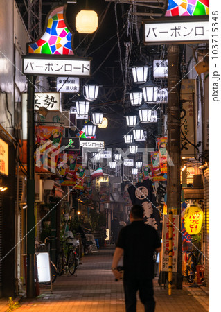 《東京都》蒲田駅前飲み屋街・バーボンロード 103715348