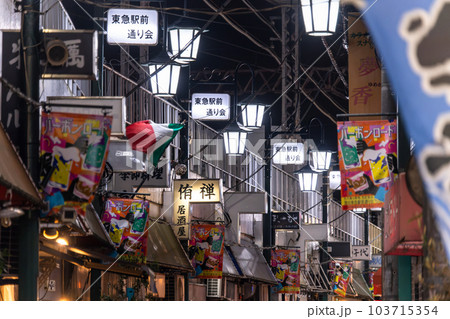 《東京都》蒲田駅前飲み屋街・バーボンロード 103715354