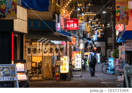 《東京都》蒲田駅前・ノスタルジックな飲み屋街 《東京都》蒲田駅前・ノスタルジックな飲み屋街 103715364